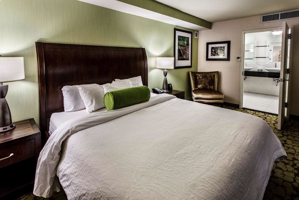 Suite doppia 1 camera da letto Hilton Garden Inn New York / Staten Island