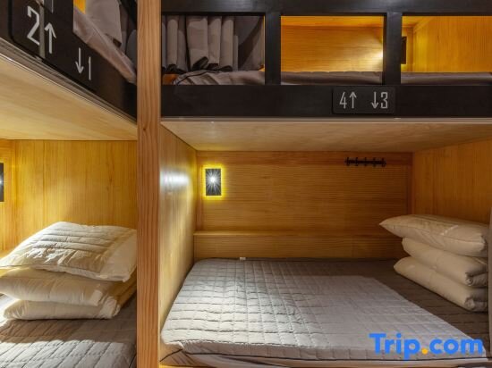 Cama en dormitorio compartido (dormitorio compartido masculino) Iforest Hostel