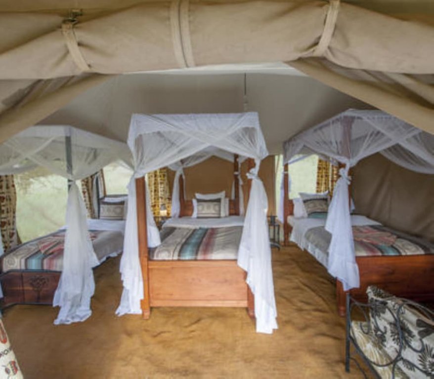 Tenda Acacia Migration Camp Ndutu