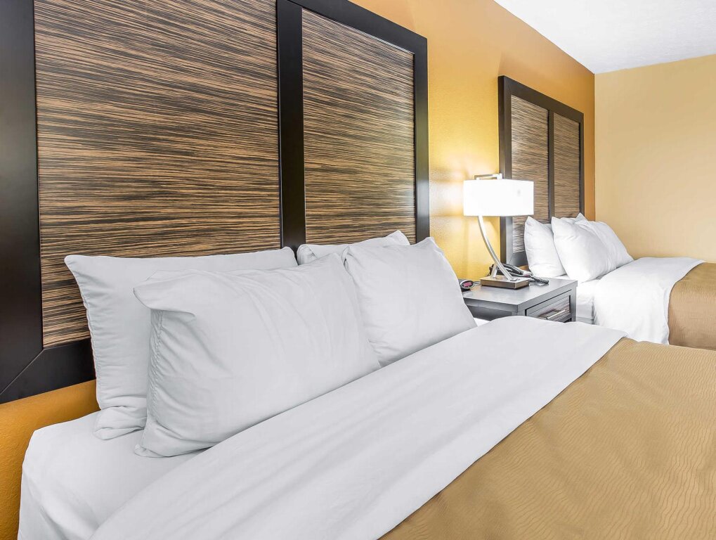 Standard Doppel Zimmer Quality Inn & Suites Montgomery East Carmichael Rd