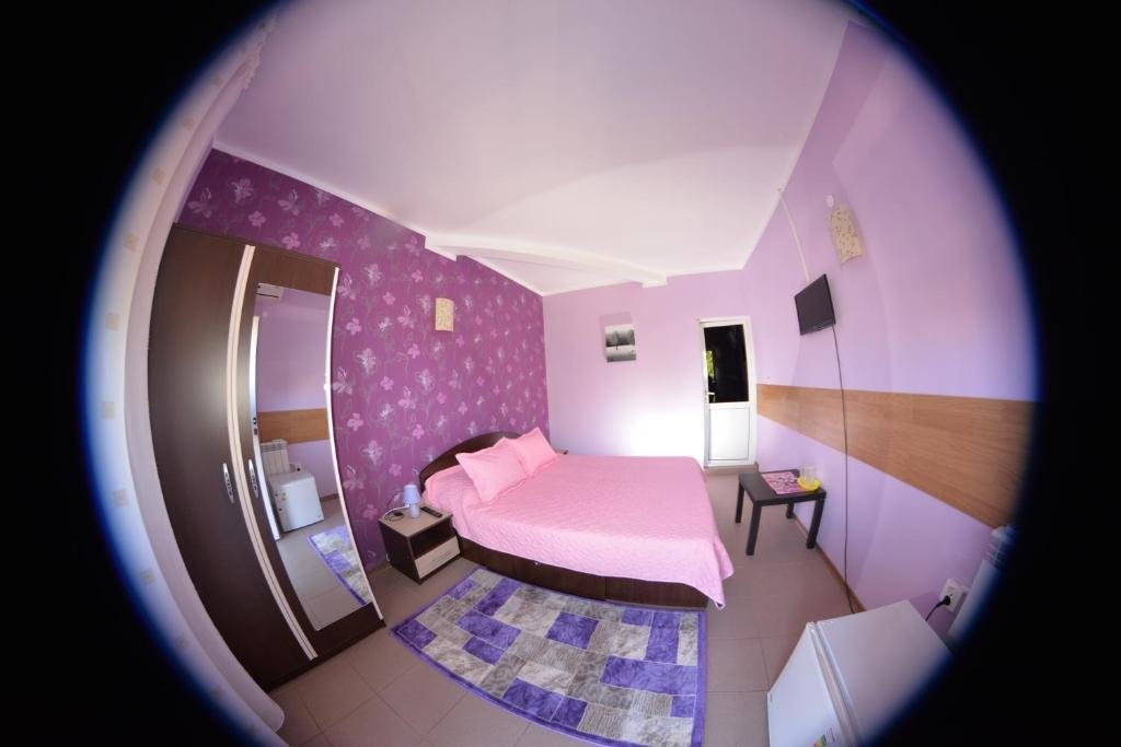 Standard Doppel Zimmer Vila Alexandru