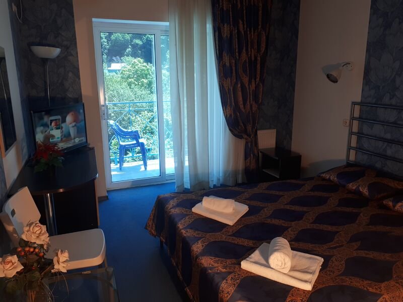 Standard Double room Primorye Light Paradise Hotel