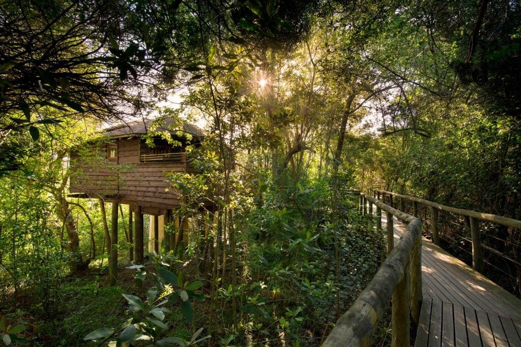 Люкс Luxury Tsala Treetop Lodge