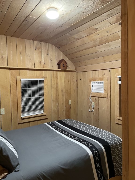 Camera Standard con vista sulle montagne Cabin & Motel Rentals