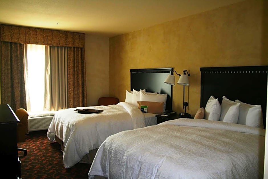 Standard double chambre Vue sur la ville Hampton Inn & Suites Dallas Arlington N Entertainment Dist