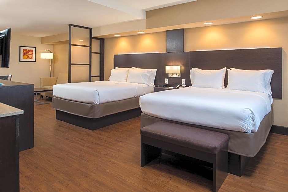 Четырёхместный люкс Holiday Inn Express & Suites San Antonio Medical Center North, an IHG Hotel