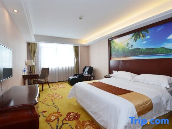 Habitación doble De lujo Vienna 3 Best Hotel Shanghai Expo Sanlin