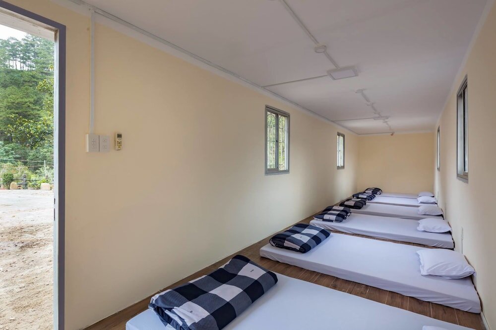 Letto in camerata Green Bee Bungalow - Hostel