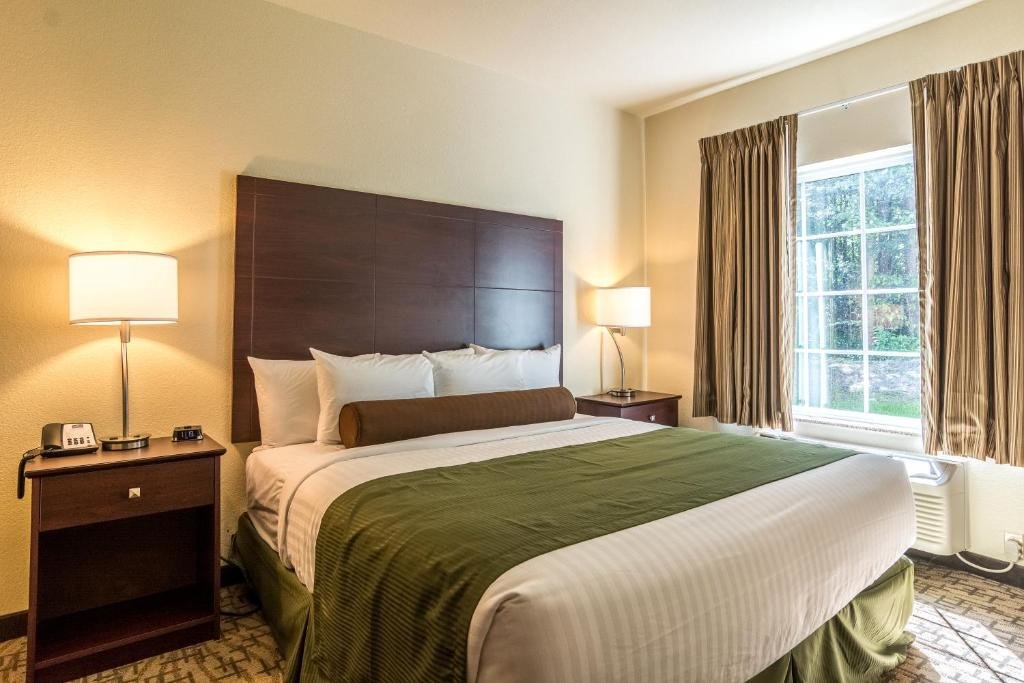 Standard Single room Cobblestone Hotel & Suites - Greenville