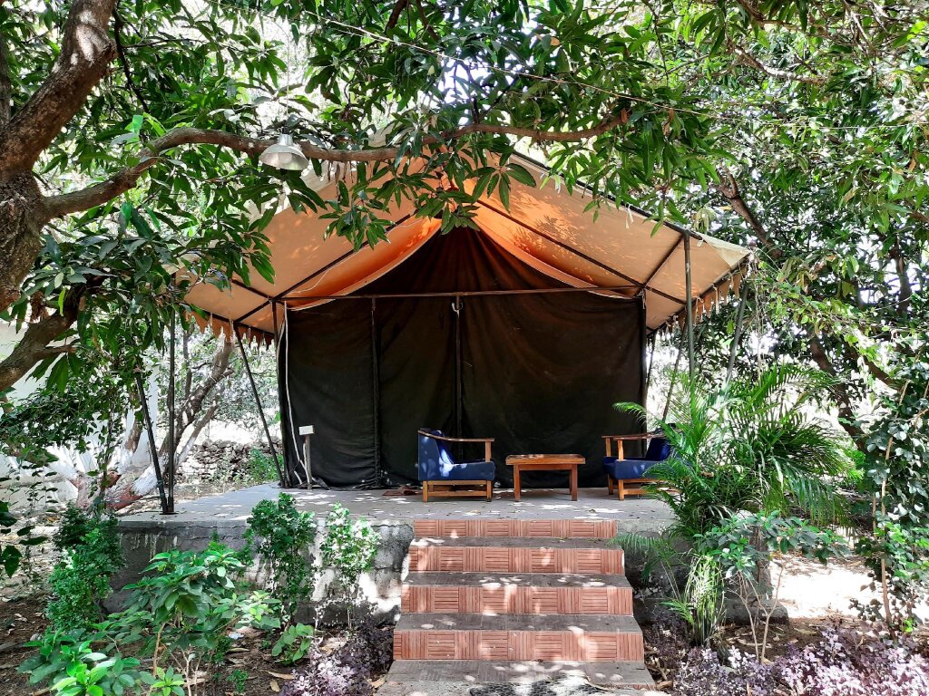 Tent Gir County Home Stay