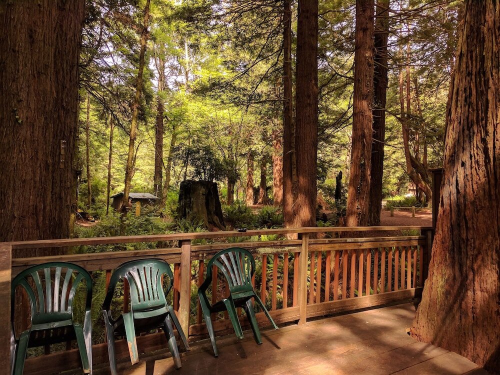 Standard famille chambre Vue jardin Emerald Forest Cabins