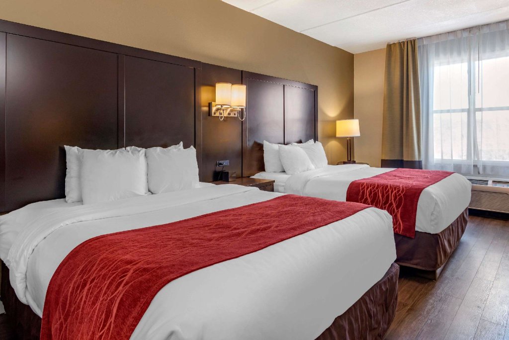 Standard Quadruple room Comfort Inn & Suites near Six Flags