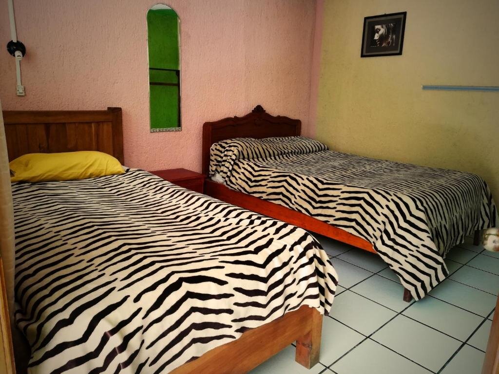 Standard Doppel Zimmer Iguana Hostel