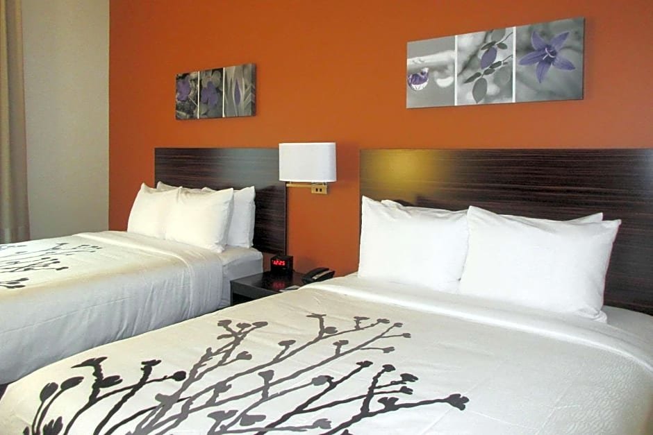 Standard Double room Sleep Inn & Suites Oregon - Madison