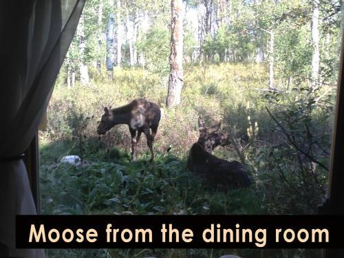 The Aspen Moose Vacation Cabin Peoa