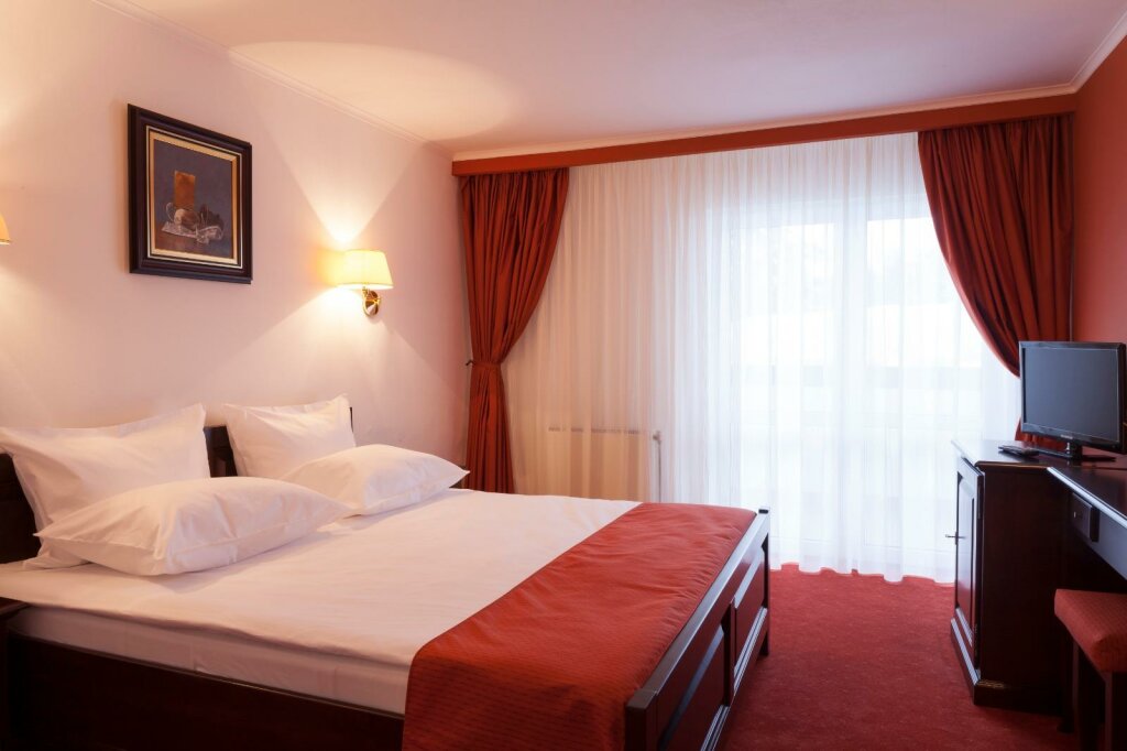 Номер Standard Hotel Piatra Mare