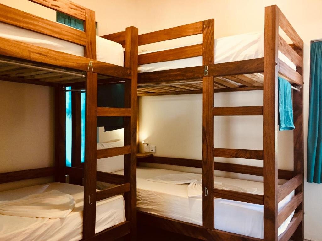Кровать в общем номере Little Lagoon Hostel