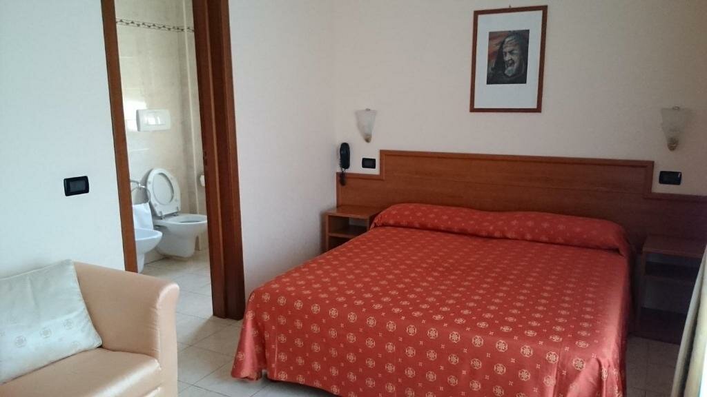 Standard Double room Hotel Holiday House