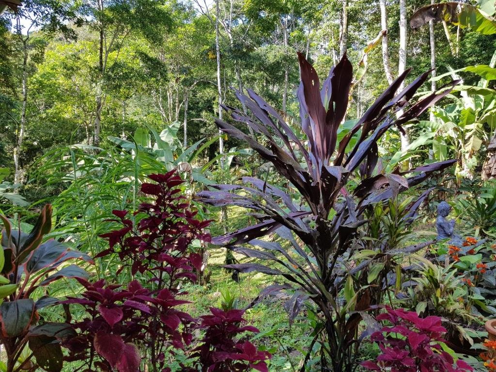 Бунгало Deluxe La Shamana - Ecological Concept in Jungle