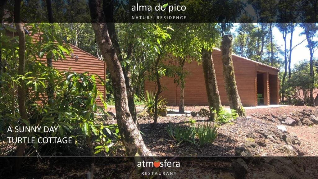 Апартаменты Alma do Pico - Nature Residence