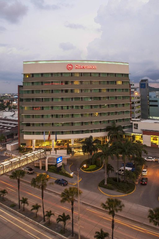 Номер Standard Sheraton Guayaquil Hotel