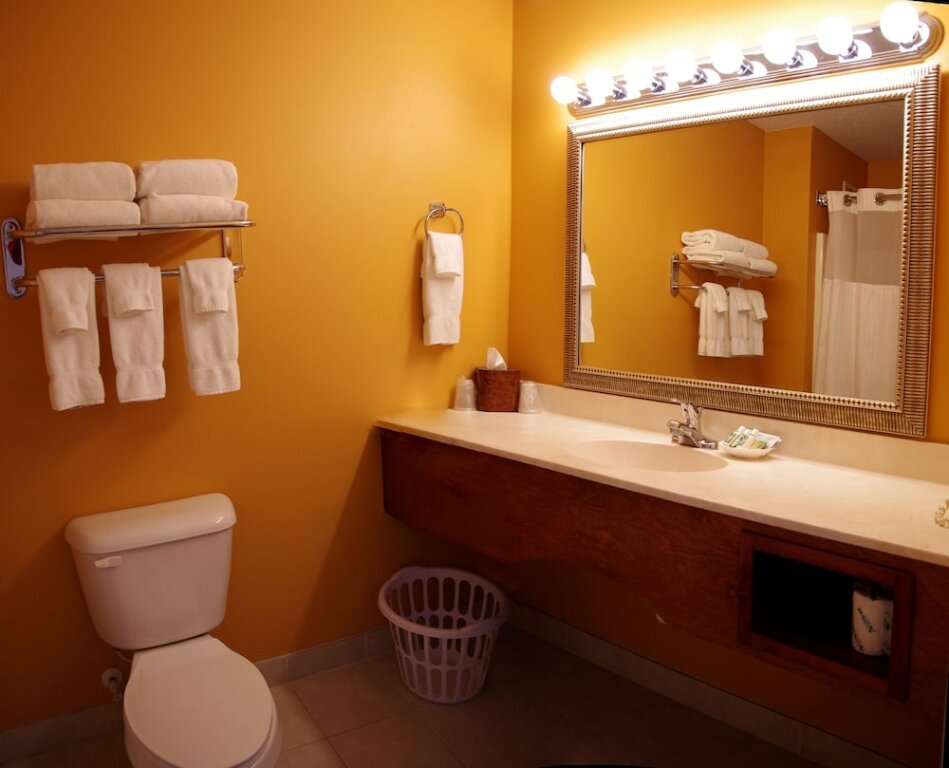 Executive Zimmer GrandStay Hotel & Suites Ames