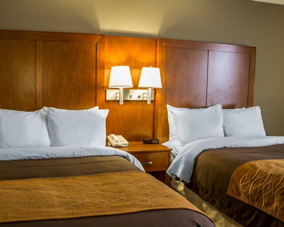 Standard Zimmer Comfort Inn