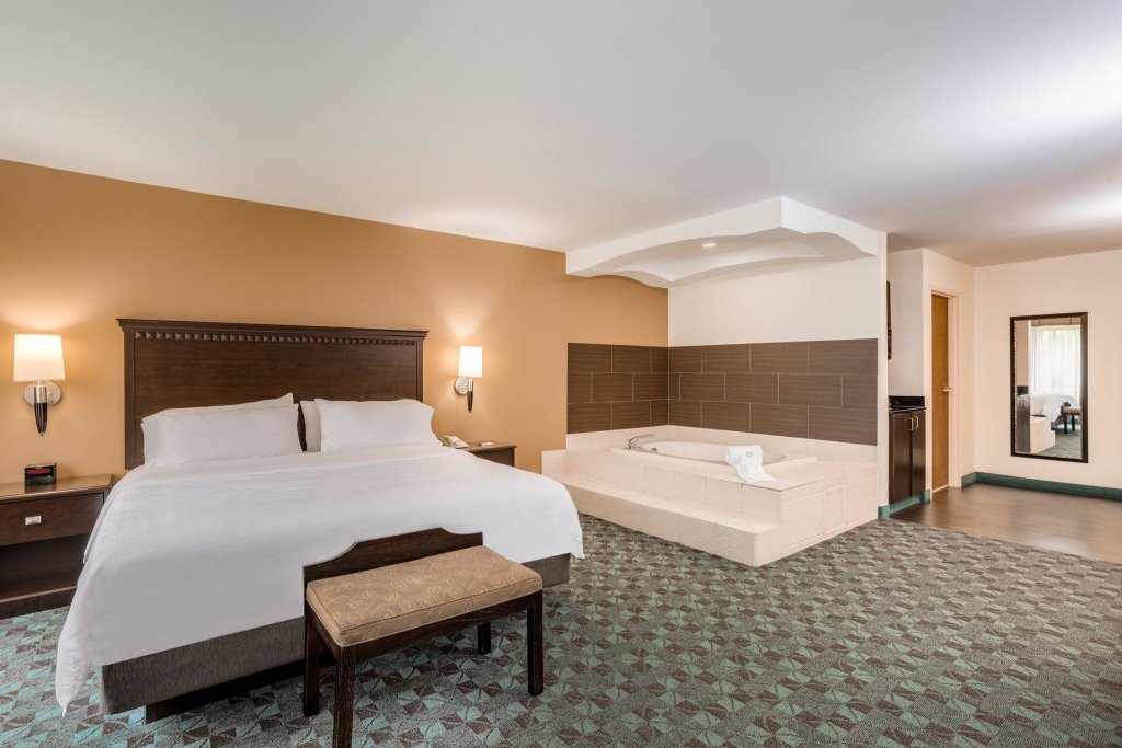 Двухместный люкс Grand Holiday Inn Express Hotel & Suites Canton, an IHG Hotel