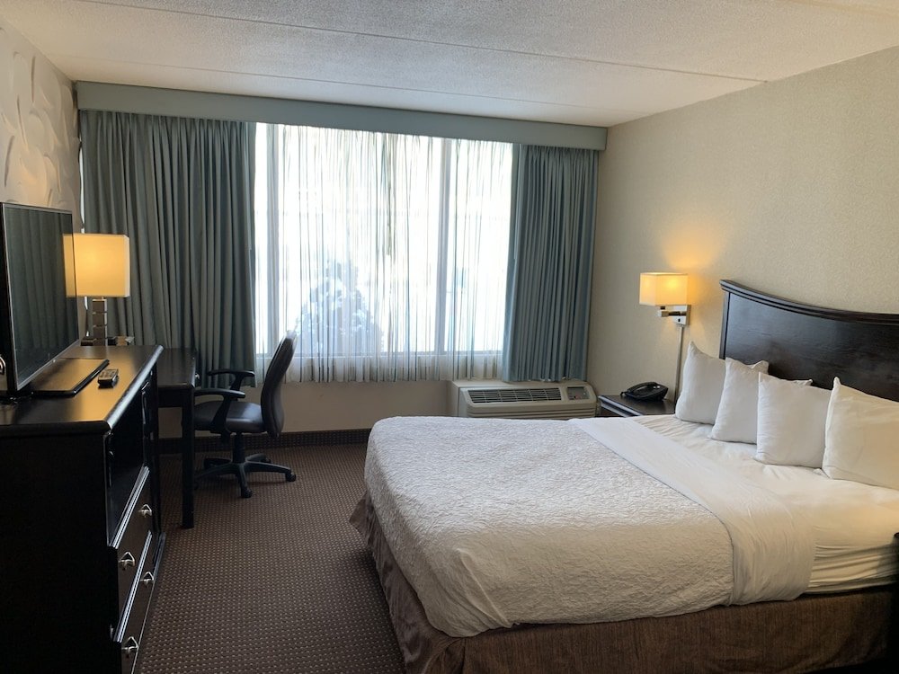 Standard simple chambre Albany Airport Inn