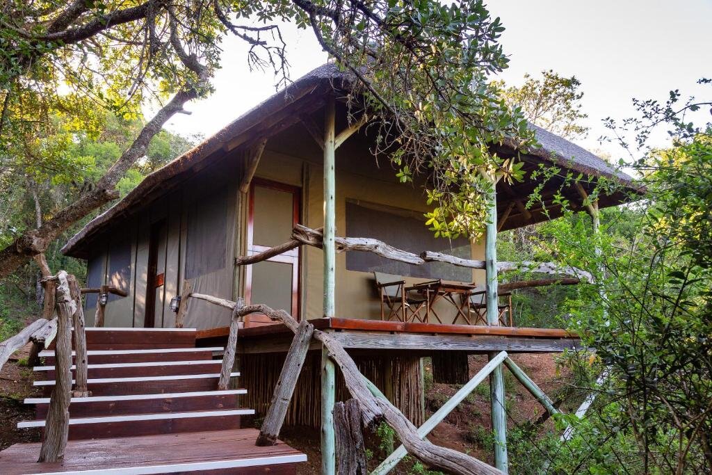 Deluxe Zimmer Lalibela Game Reserve Tree Tops Safari Lodge