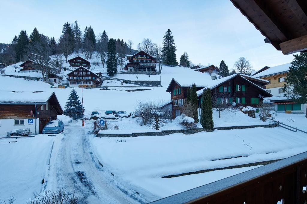 Appartement Hotel Central Wolter - Grindelwald