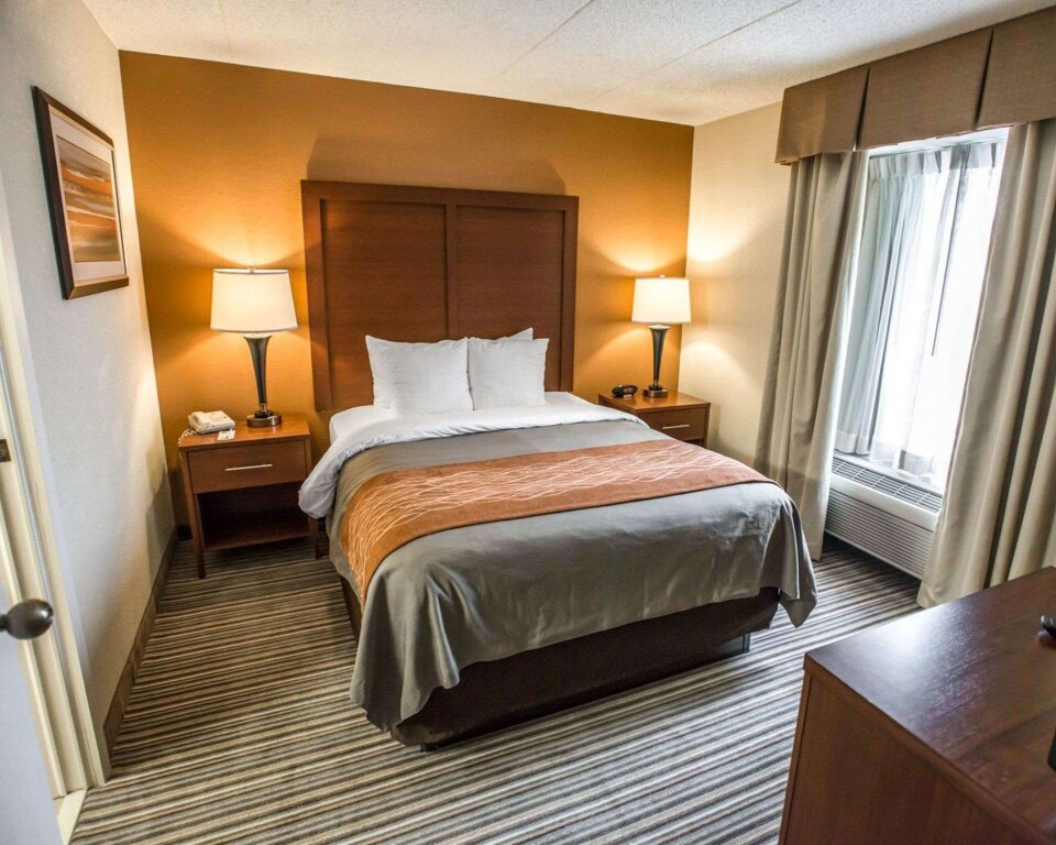 Vierer Suite Comfort Inn at the Park