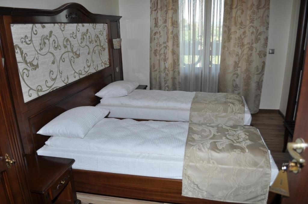 Standard Double room with river view Pensiunea Alexandra & SPA