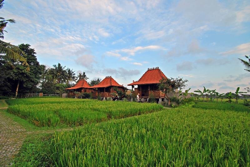 Habitación doble Estándar KajaNe Yangloni at Ubud Bali