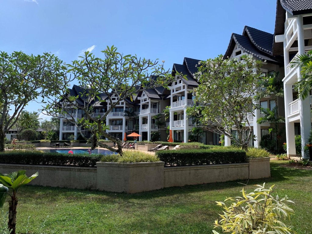 Allamanda phuket