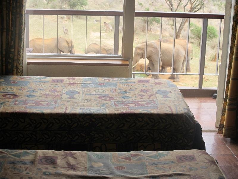 Standard chambre Ngulia Safari Lodge