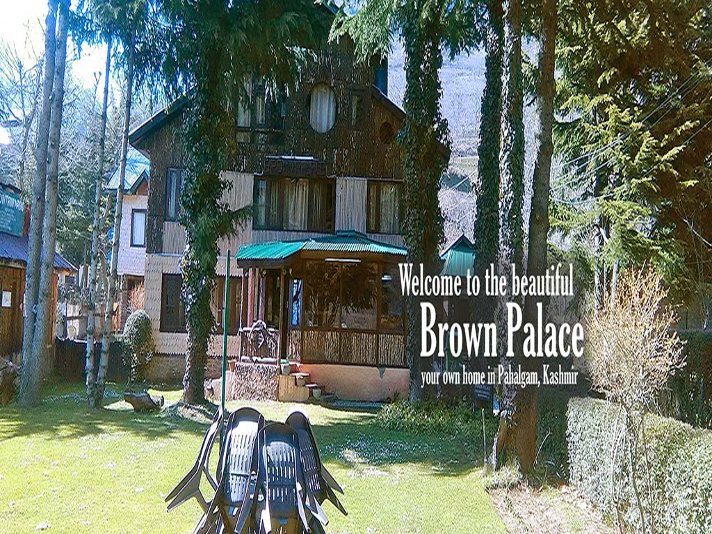 Номер Standard Brown Palace
