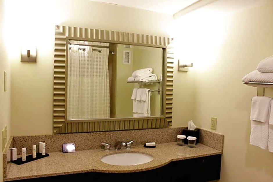 Четырёхместный люкс Embassy Suites by Hilton Laredo