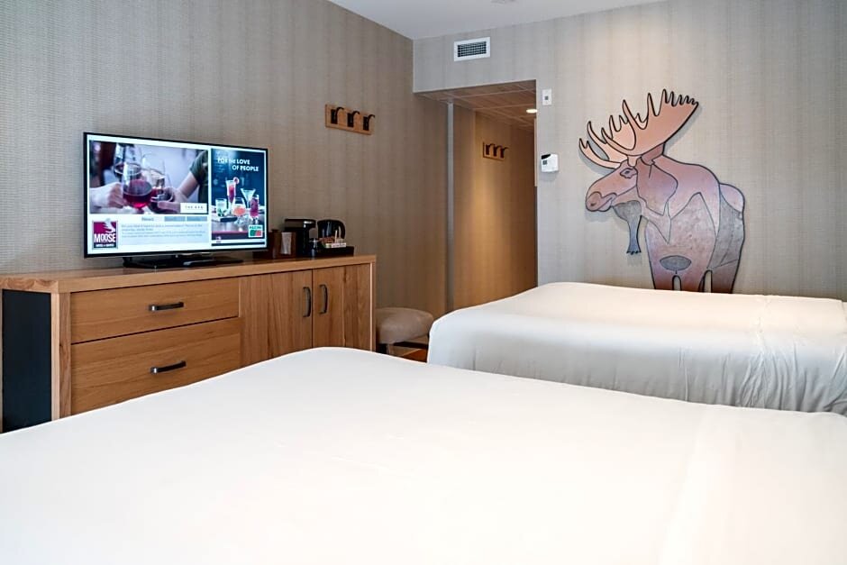 Четырёхместный номер Superior Moose Hotel and Suites
