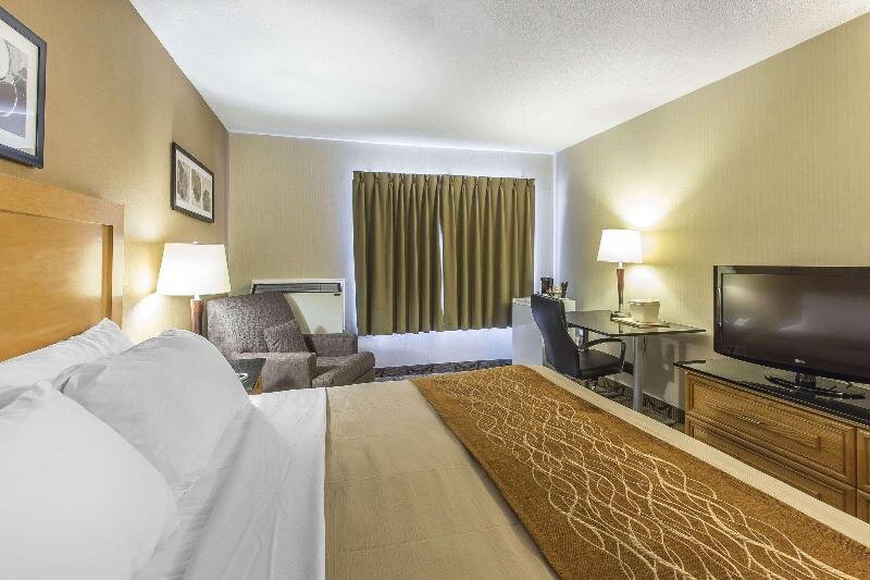 Standard Doppel Zimmer Comfort Inn