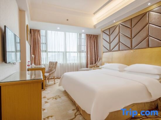 Suite Business Vienna Hotel Dongguan Tangxia Lincun Plaza Branch