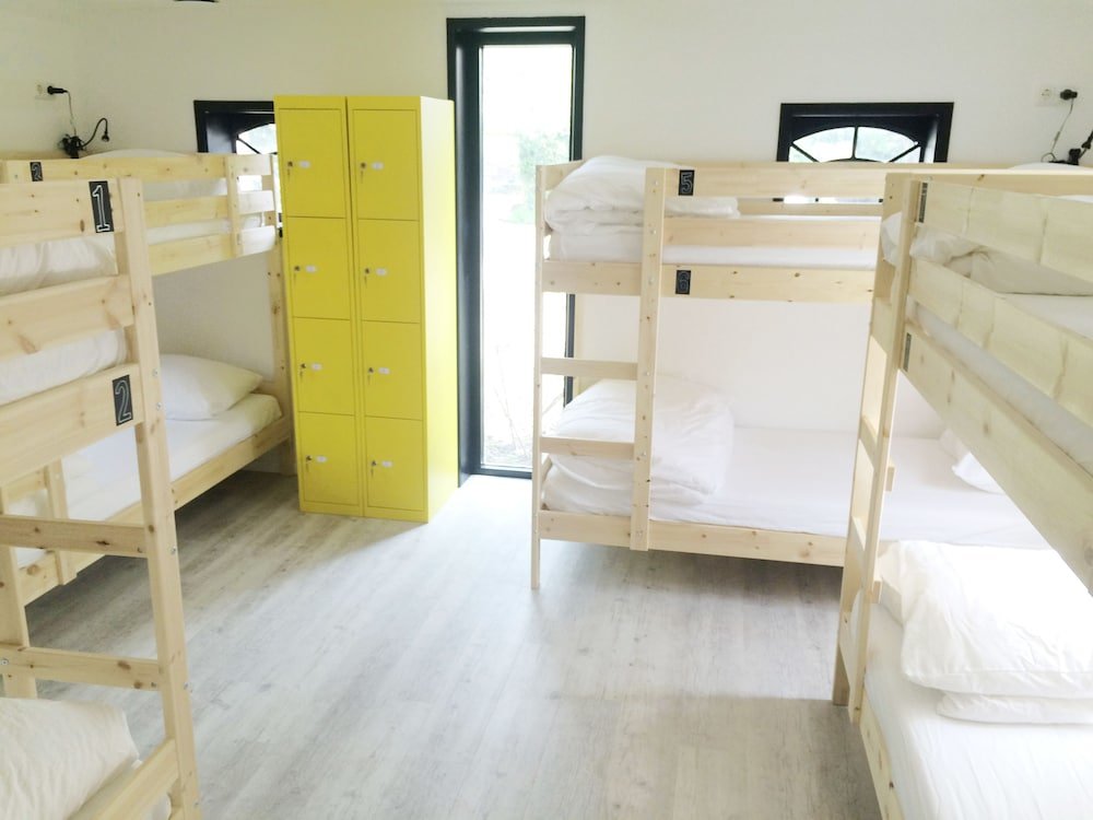 Cama en dormitorio compartido (dormitorio compartido femenino) The Black Sheep Hostel