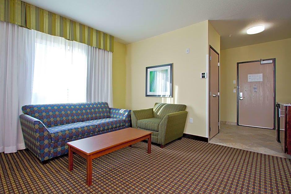 Двухместный полулюкс Executive Holiday Inn Express and Suites Denver East Peoria Street, an IHG Hotel