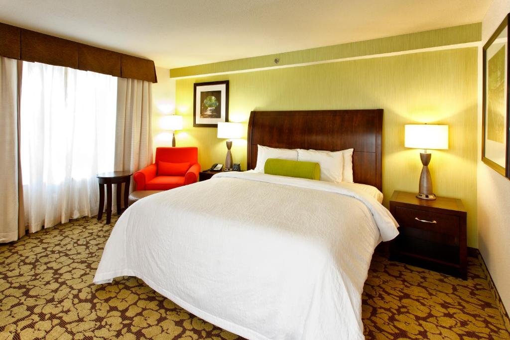 Junior suite with Sofa Bed doppia Hilton Garden Inn New York / Staten Island
