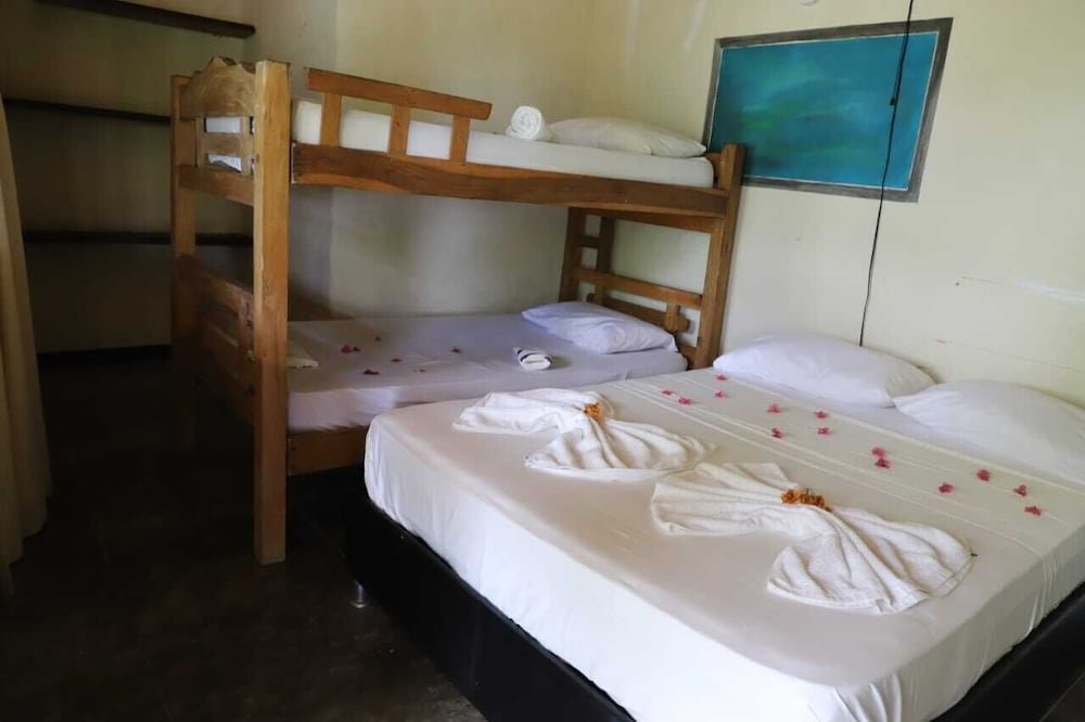 Bed in Dorm Ecohotel La Cocotera - Hostel