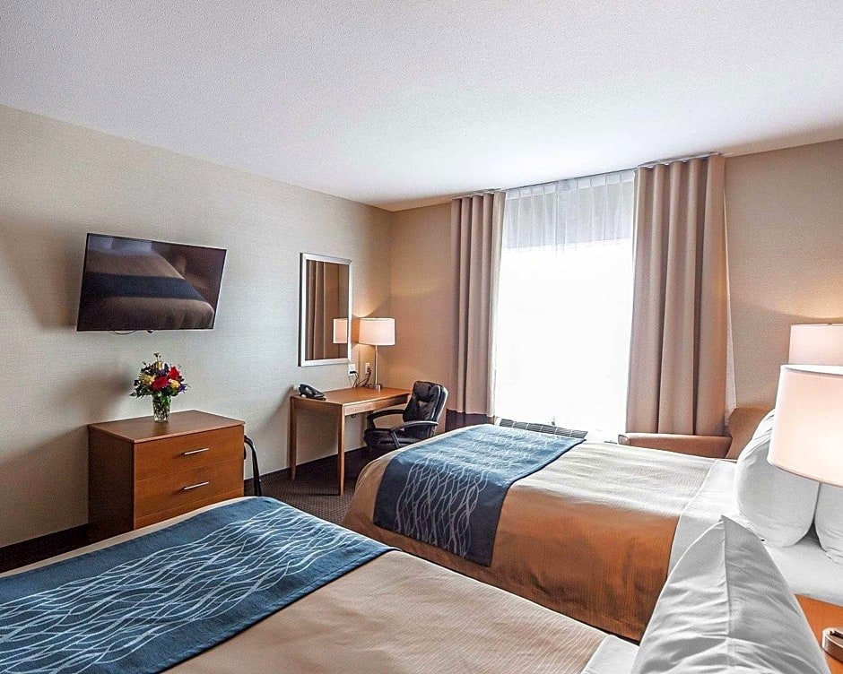 Standard Vierer Zimmer Comfort Inn & Suites
