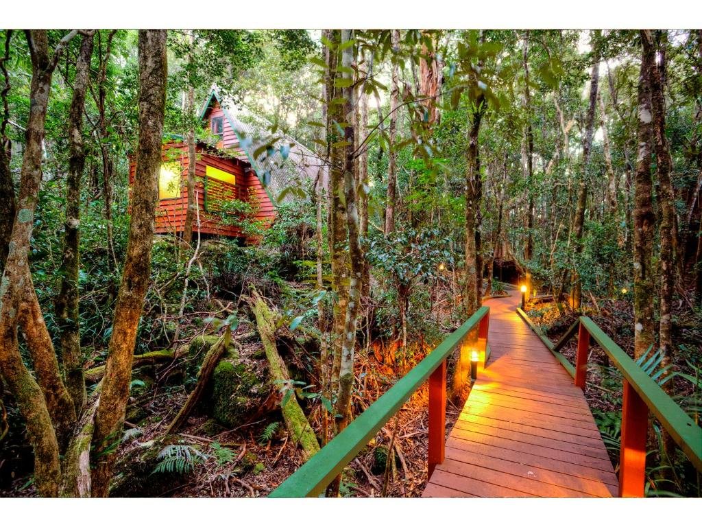 Шале Deluxe The Mouses House Rainforest Retreat