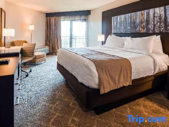 Standard double chambre Aiden by Best Western @ Warm Springs Hotel and Event Center