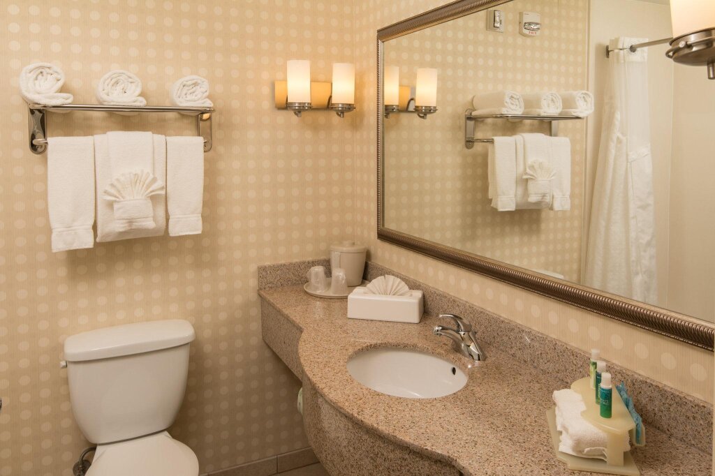 Номер Deluxe Holiday Inn Express Hotel & Suites Greensboro - Airport Area, an IHG Hotel