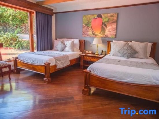 Habitación doble Estándar Royal Palm Galapagos, Curio Collection Hotel by Hilton